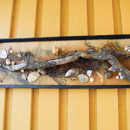 Pet Friendly In Apartament